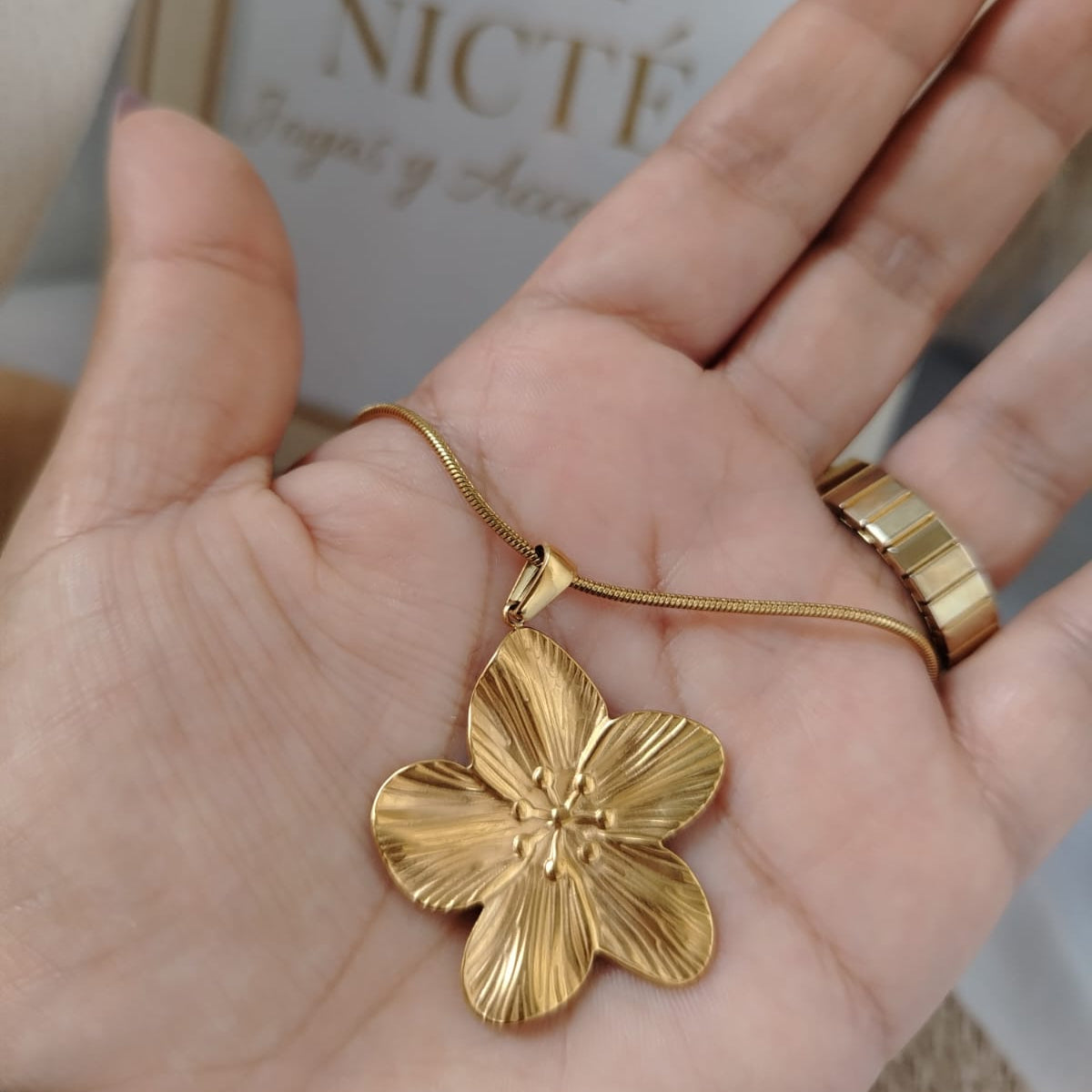 SET FLORES ATREVIDAS