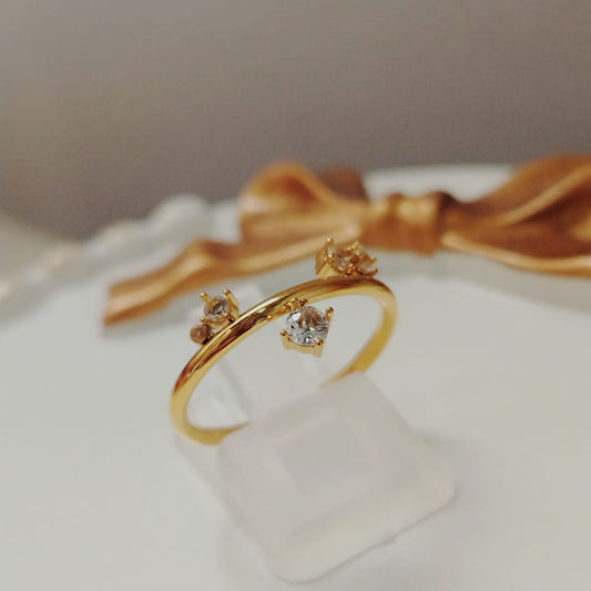 ANILLO DECISION