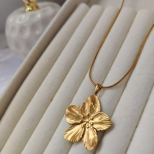 SET FLORES ATREVIDAS